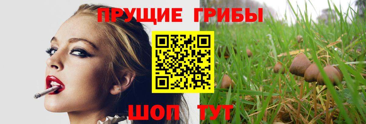 Воронеж  где купить наркоту  Вход с VPN  Псилоцибиновые грибы мухоморы 